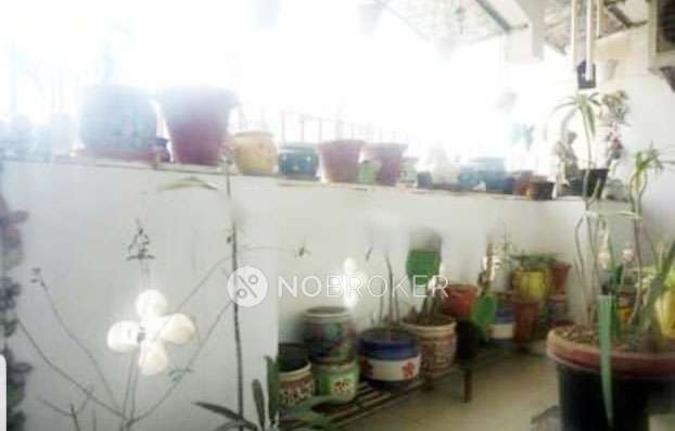 4 BHK Flat In Amrapali Sapphire For Sale  In Sector-45