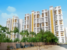 3 BHK Flat For Sale In Bptp Princess Park In Sector 86