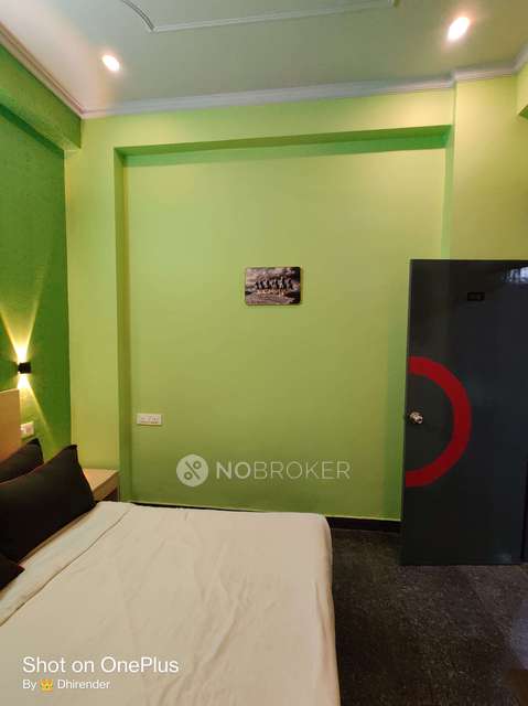 PG for Anyone in Sector 38