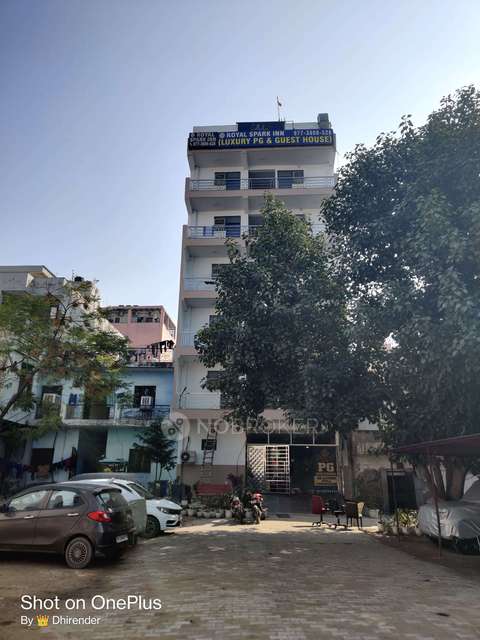 PG for Anyone in Sector 38