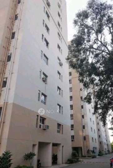 1 BHK Flat In Adani Aangan For Sale  In Sector 89a