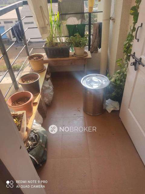 2 BHK Flat In Mantra Magic Phase 2 for Rent  In Chimbali