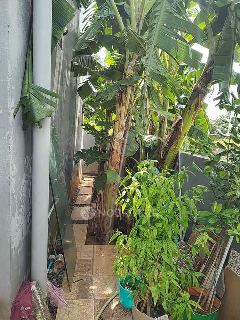 3 BHK House For Sale  In Ottiyambakkam