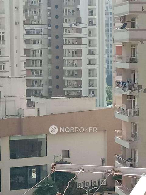 3 BHK Flat In Supertech Ecociti For Sale  In Sector 137