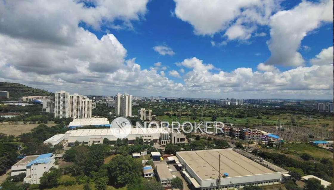 2 BHK Flat In Ace Augusta For Sale  In Hinjewadi