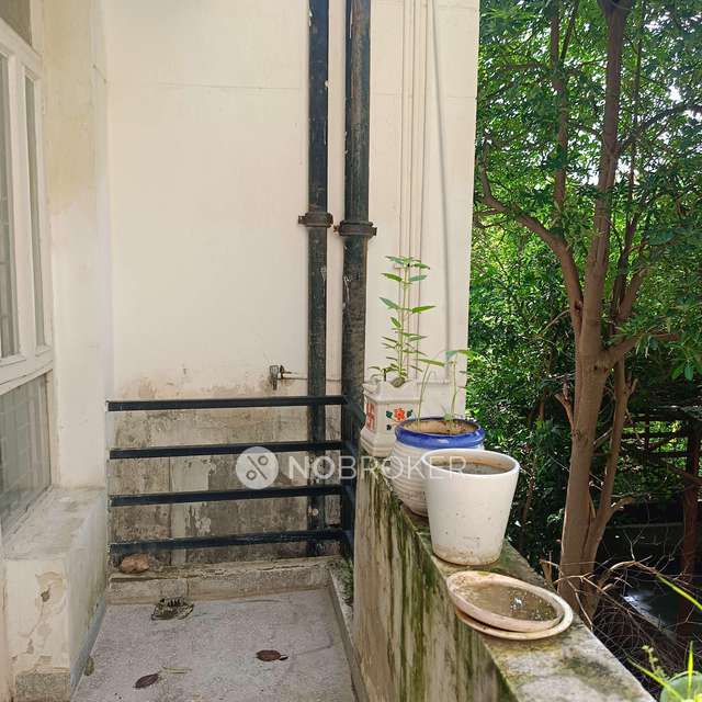 3 BHK Flat In Unitech South City 2 For Sale  In Sector 49