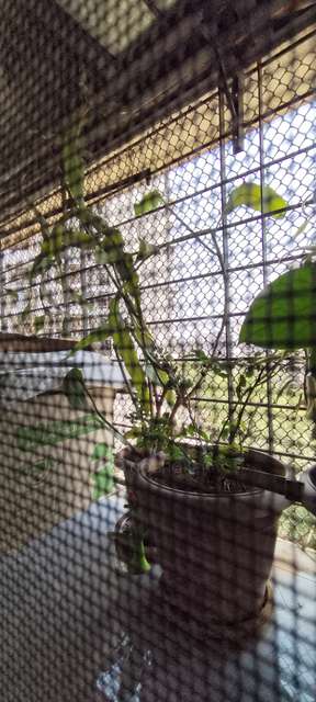 3 BHK Flat In Bhoomi Harmony Chs, For Sale  In  Panvel