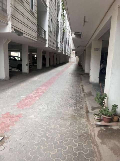 3 BHK Flat In Greenacre Homz For Sale  In Chandan Hola