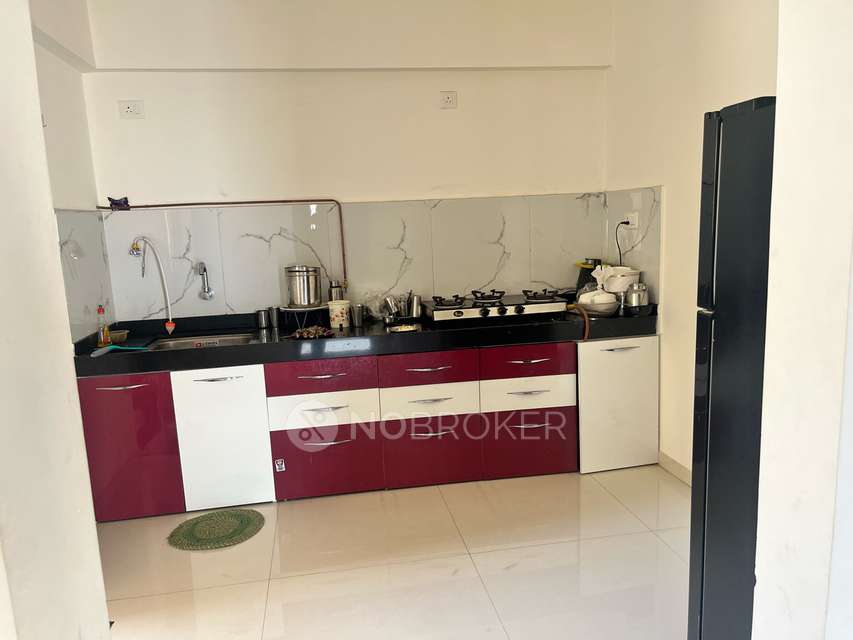 2 BHK Flat In Silver Gracia - A Wing for Rent  In Silver Gracia - A Building