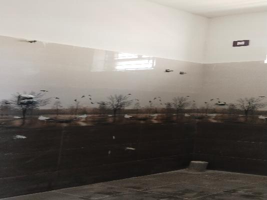 3 BHK Flat In Venki Villas For Sale  In Karthikeyapuram