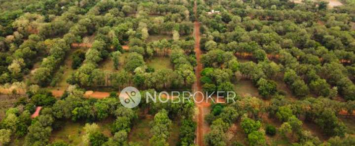 Plot For Sale  In Mango County In Thamaraipakkam