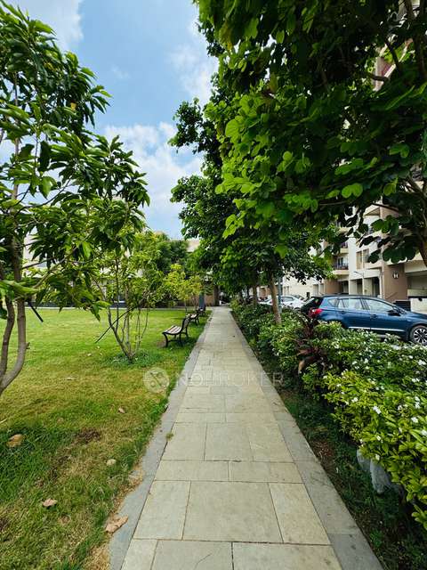 2 BHK Flat In Kolte Patil Life Republic  for Rent  In Punawale