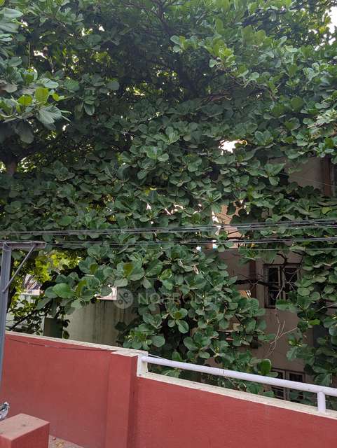 1 RK House for Rent  In Sultanpalya