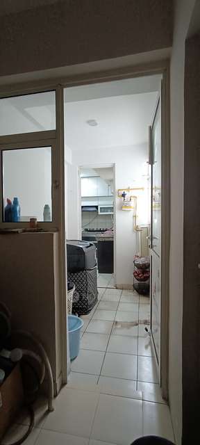 3 BHK Flat In 3c Lotus Panache, Sector 110, Noida For Sale  In Sector 110