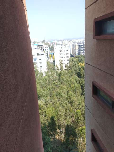 2 BHK Flat In Marvel Sequoia Apartments For Sale  In Whitefield