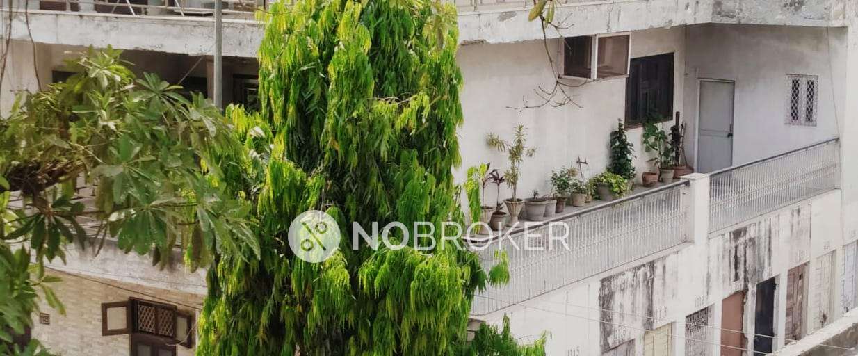 3 BHK Flat In Standalone Building  for Rent  In Paschim Vihar