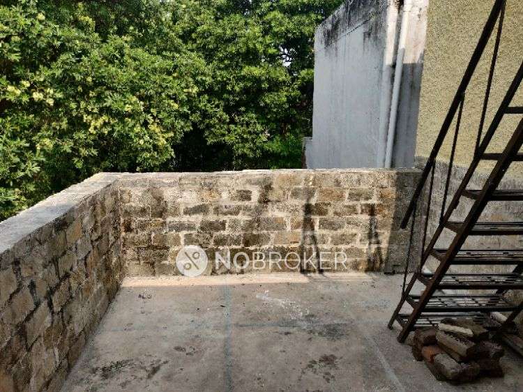 3 BHK Flat In Vasant Enclave for Rent  In Vasant Vihar