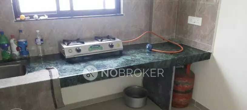 1 BHK Flat In Palm Ville Society For Sale  In Kharadi