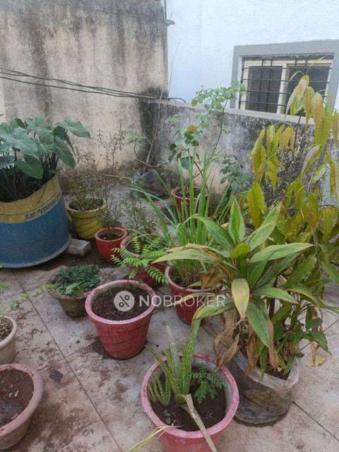 4+ BHK House For Sale  In Wadgaon Sheri
