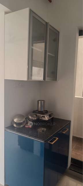 1 BHK Flat In Joyville Hinjewadi  for Rent  In Maan Road