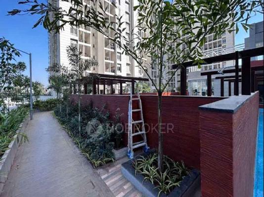 3 BHK Flat In Vtp Purvanchal for Rent  In Wagholi