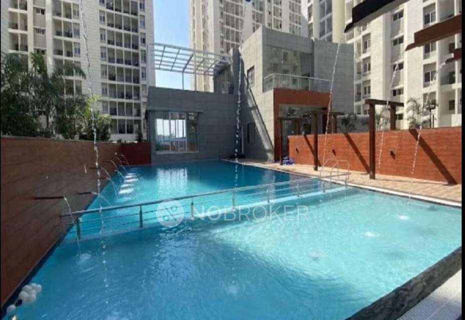 3 BHK Flat In Vtp Purvanchal for Rent  In Wagholi