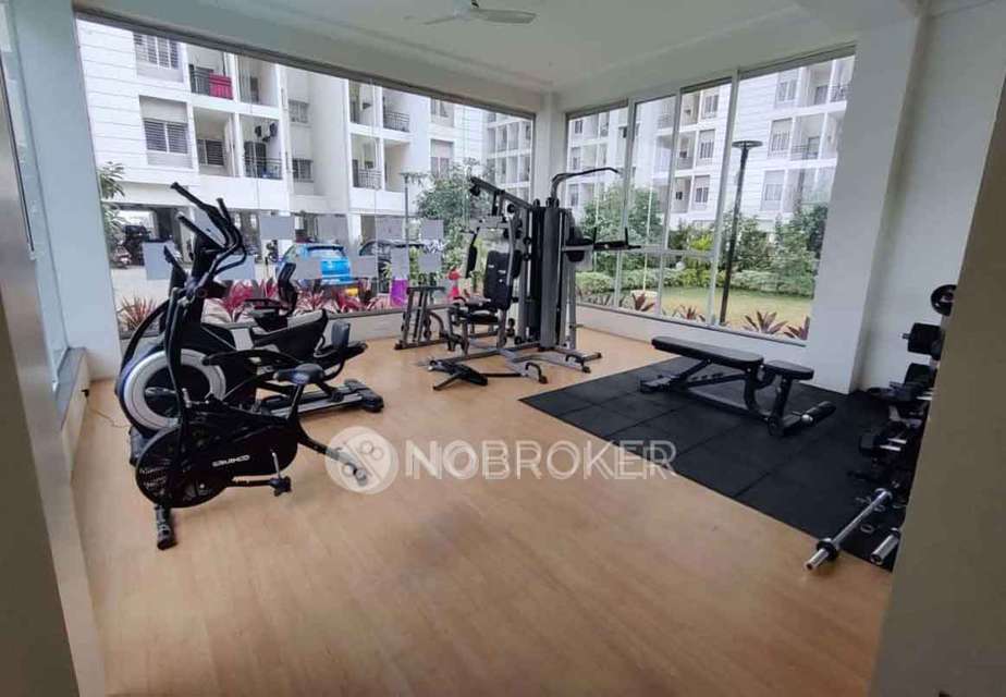 3 BHK Flat In Vtp Purvanchal for Rent  In Wagholi