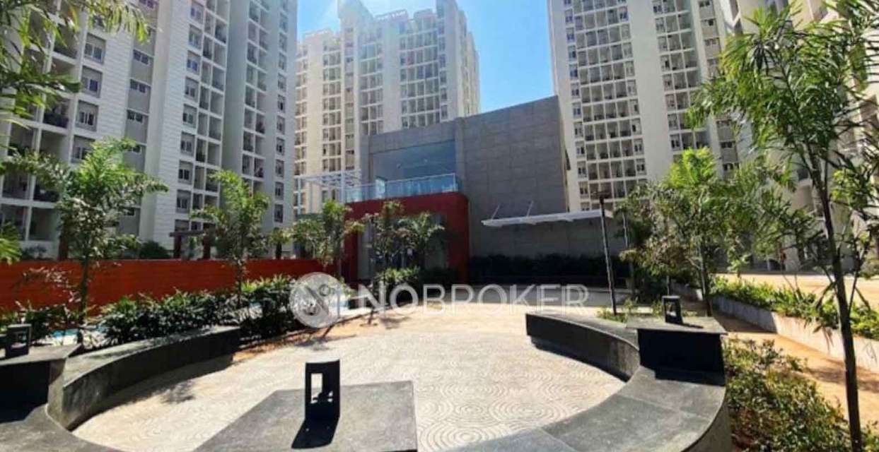 3 BHK Flat In Vtp Purvanchal for Rent  In Wagholi