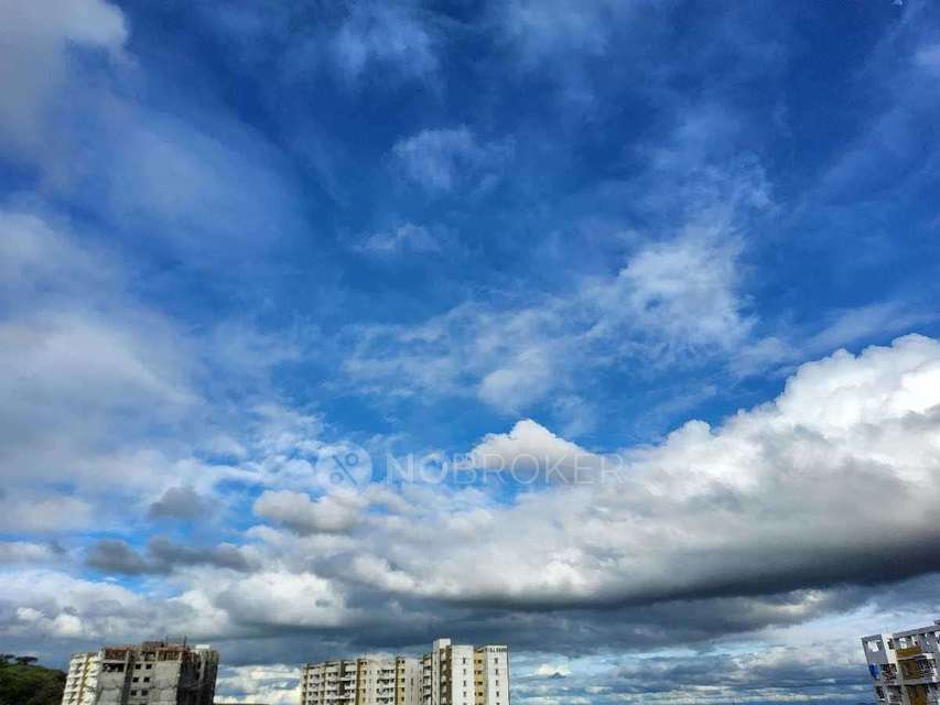 2 BHK Flat In Konark Exotica for Rent  In Wagholi