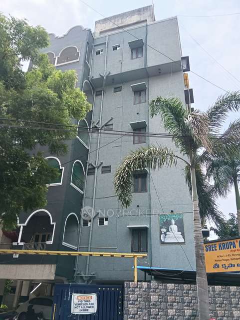 4 BHK Flat In Sreekrupa Apartments  For Sale  In Kothapet
