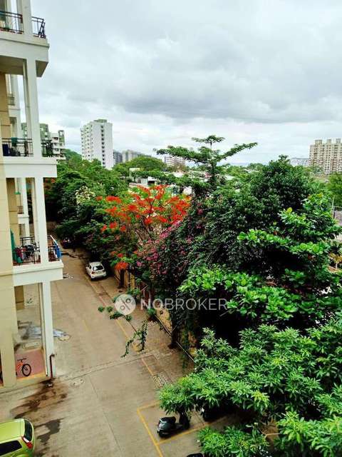 1 BHK Flat In Maple Woodz For Sale  In Wagholi