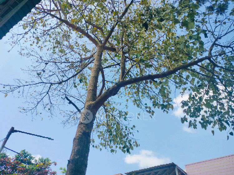 Plot For Sale  In Abhee Shrishti Layout In Hompalaghatta