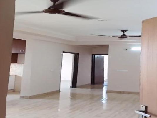 2 BHK Flat In Amrapali Golf Homes,   for Rent  In Sector 4, 