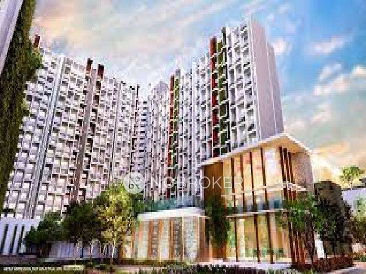2 BHK Flat In Godrej Elements for Rent In Hinjawadi Phase I