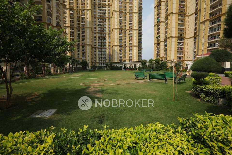3 BHK Flat In Apex Athena For Sale  In Sector-75