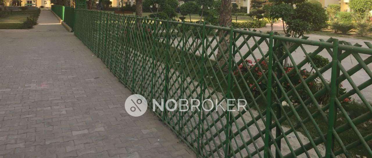 3 BHK Flat In Apex Athena For Sale  In Sector-75