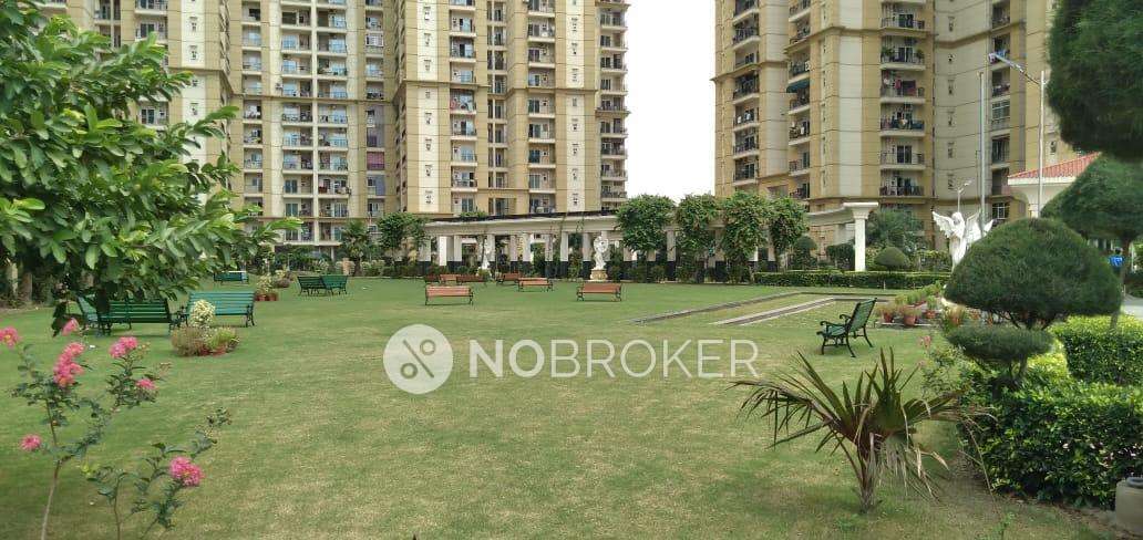 3 BHK Flat In Apex Athena For Sale  In Sector-75