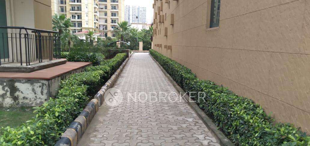 3 BHK Flat In Apex Athena For Sale  In Sector-75