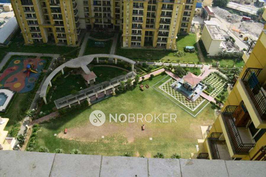 3 BHK Flat In Apex Athena For Sale  In Sector-75
