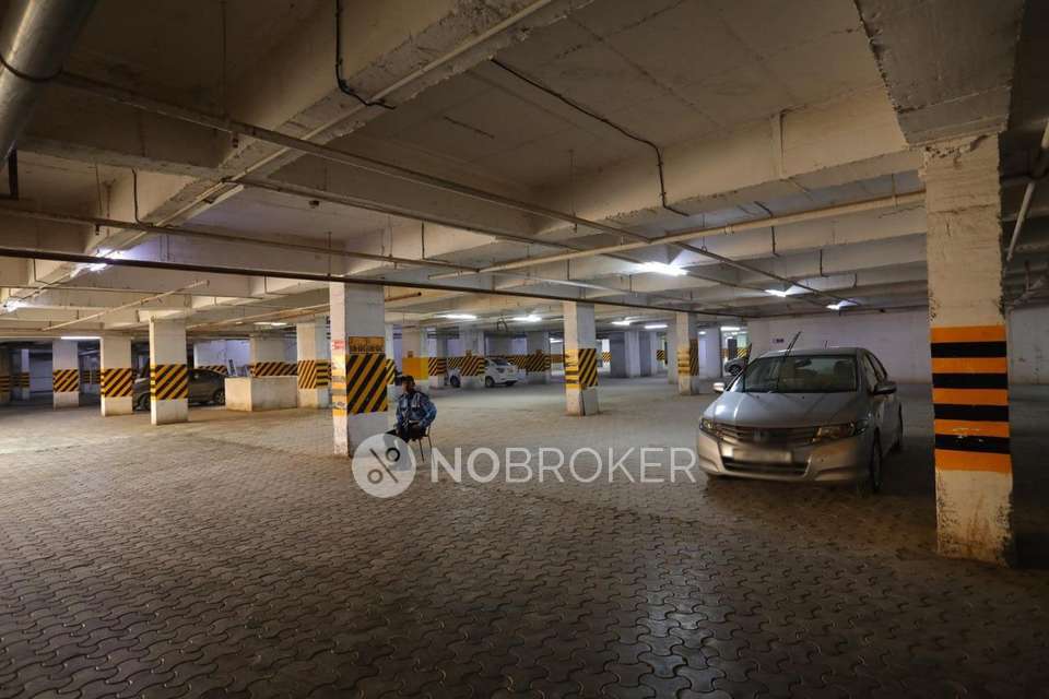 3 BHK Flat In Apex Athena For Sale  In Sector-75