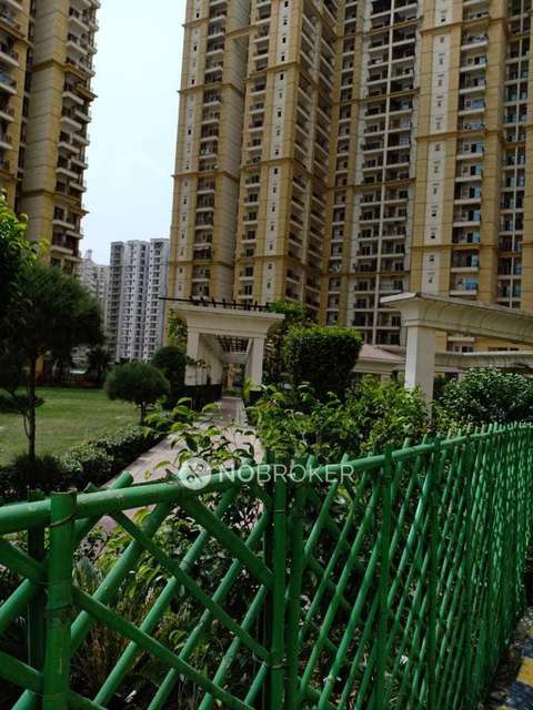 3 BHK Flat In Apex Athena For Sale  In Sector-75