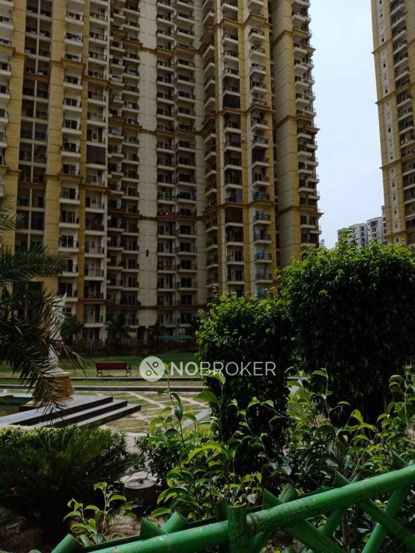 Apex Athena Sector75 Without Brokerage Semifurnished 3 BHK Flat for