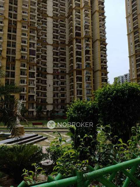 3 BHK Flat In Apex Athena For Sale  In Sector-75