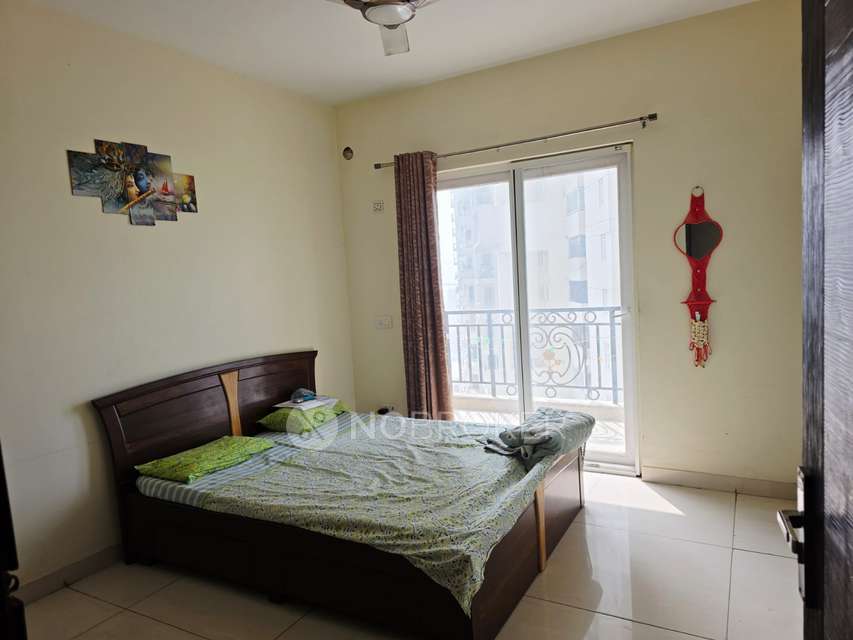 3 BHK Flat In Ace Golfshire for Rent  In Sector 150