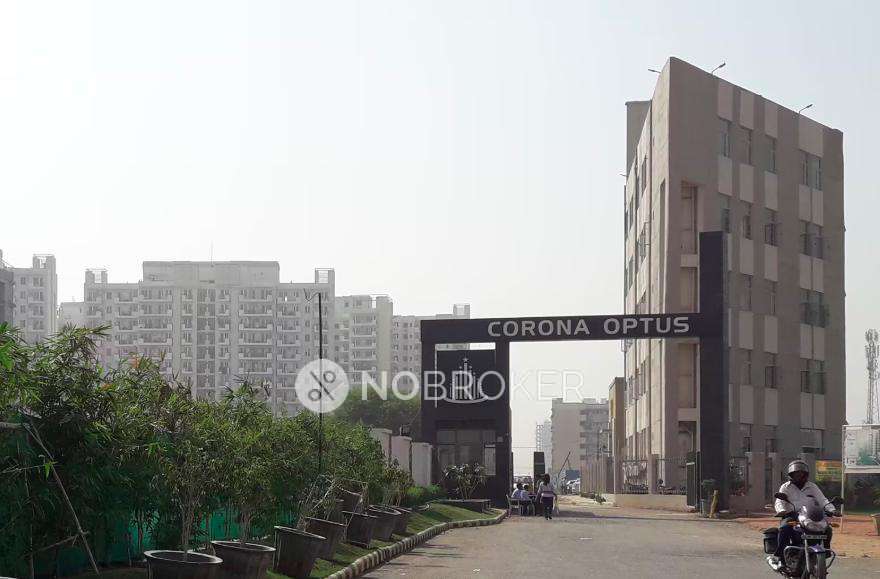 4+ BHK Flat In Corona Optus for Rent  In Sector 37c