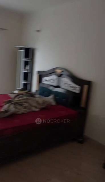 3 BHK Flat In 16th Parkview Gaur Yamuna City, Dhanpura for Rent  In Dhanpura