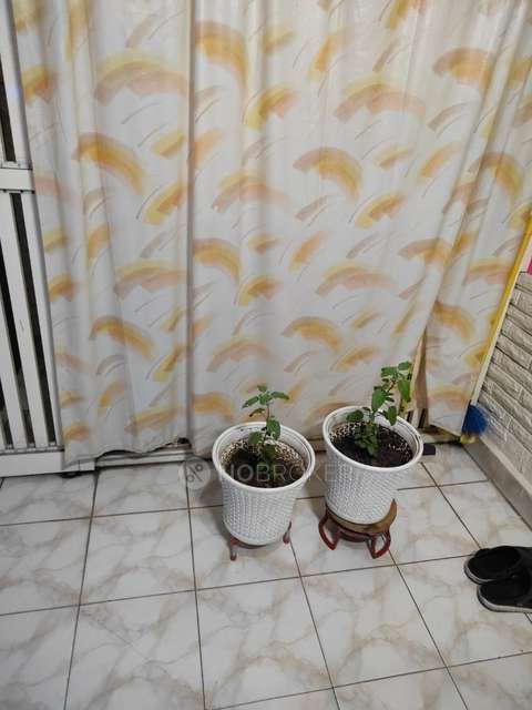 2 BHK Flat For Sale  In Lajpat Nagar