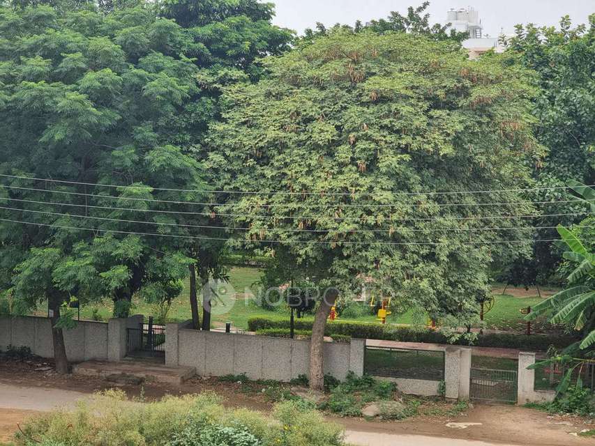 PG for Anyone in Sector 47