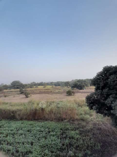 2 BHK Flat In Kohinoor Sapphire 2 for Rent  In Tathawade