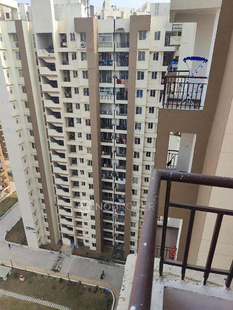 2 BHK Flat In Golf Homes & Kingswood for Rent  In Sector 4